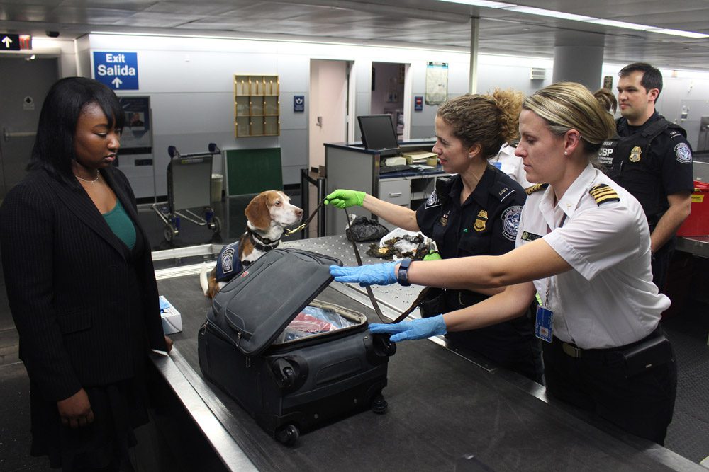 customs clearance delay